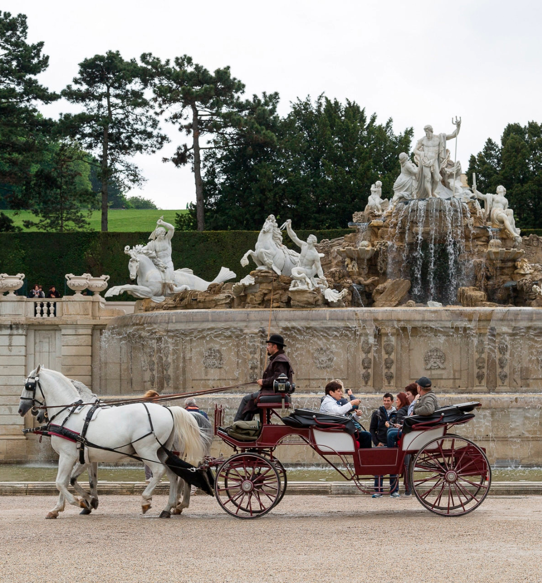 Horse drawn carriage rides at Schonnbrun Palace Vienna