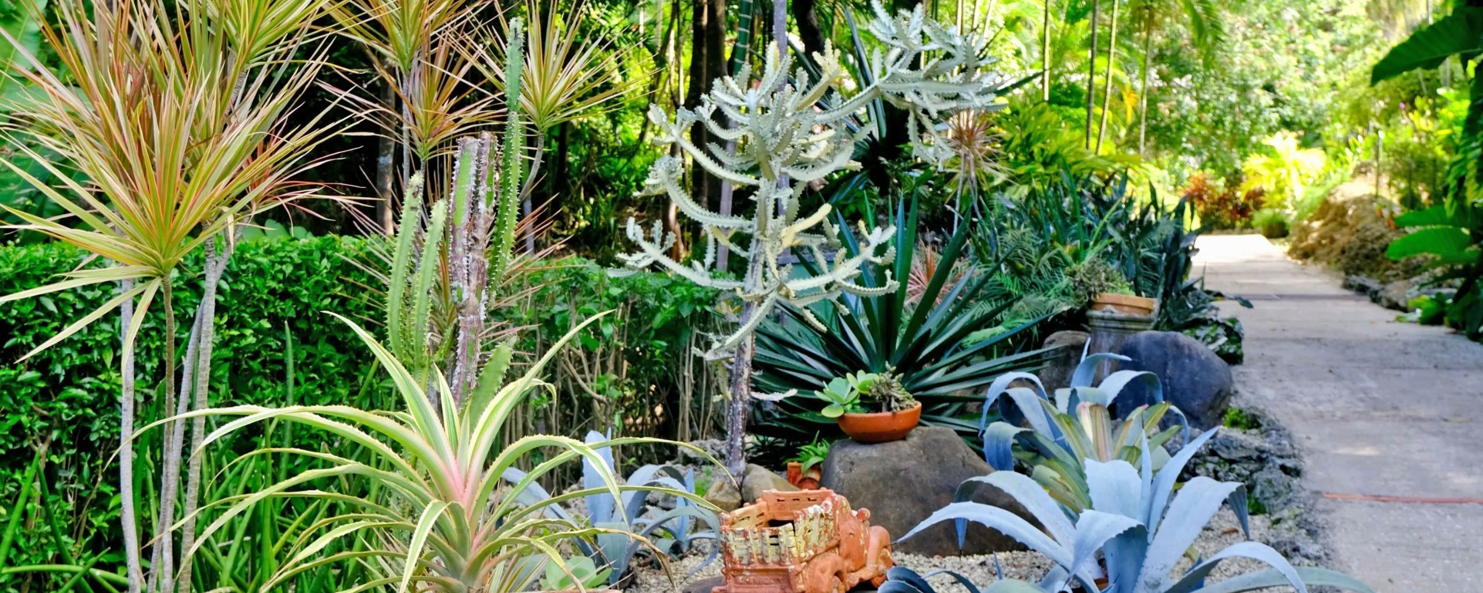 Wander through the Tropical Garden, Saint George