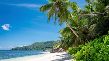White sand beach with palm trees and lush greenery along the coast of Mahé Island