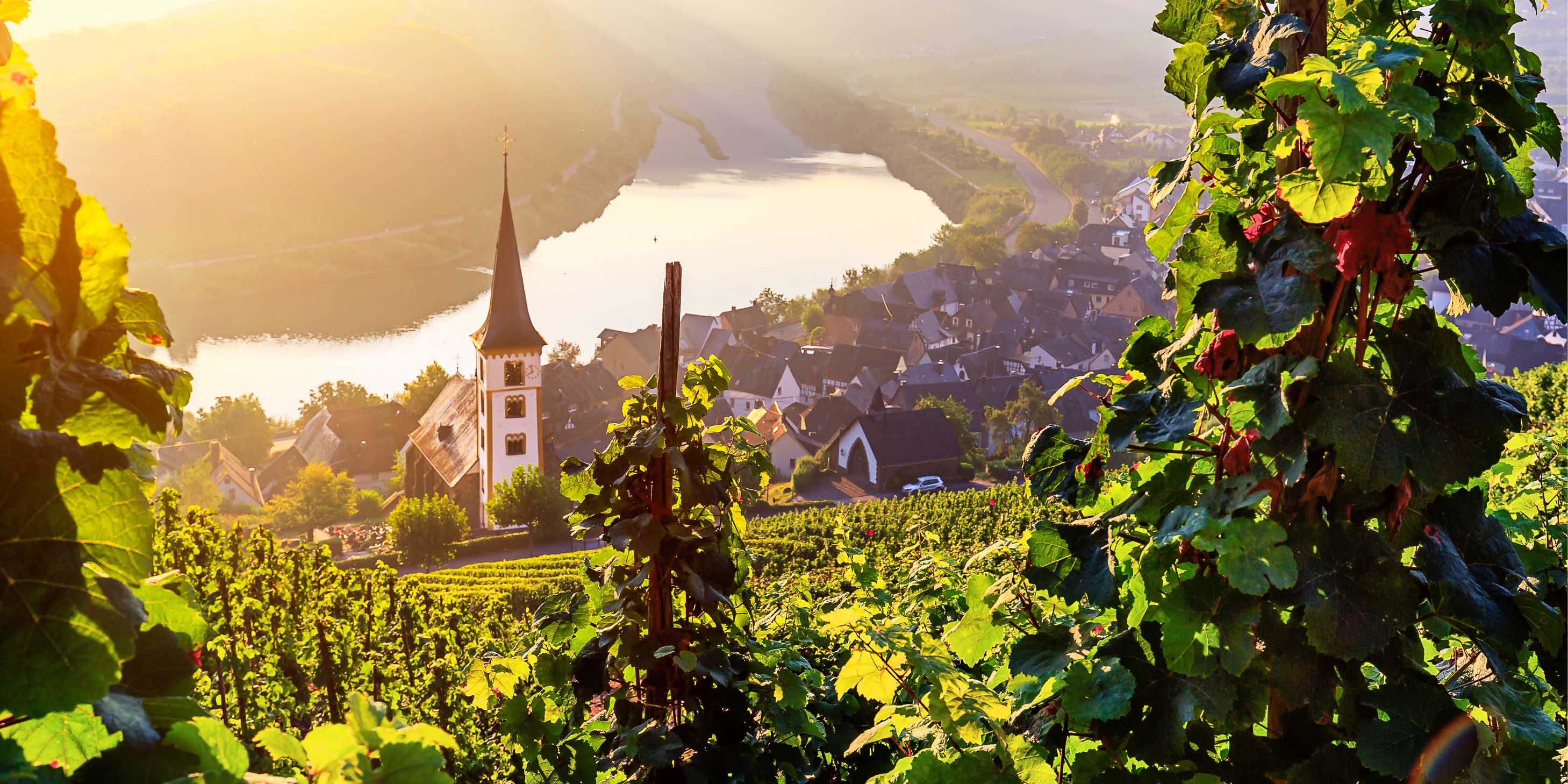 The Moselle River with greenery and castles in the foreground