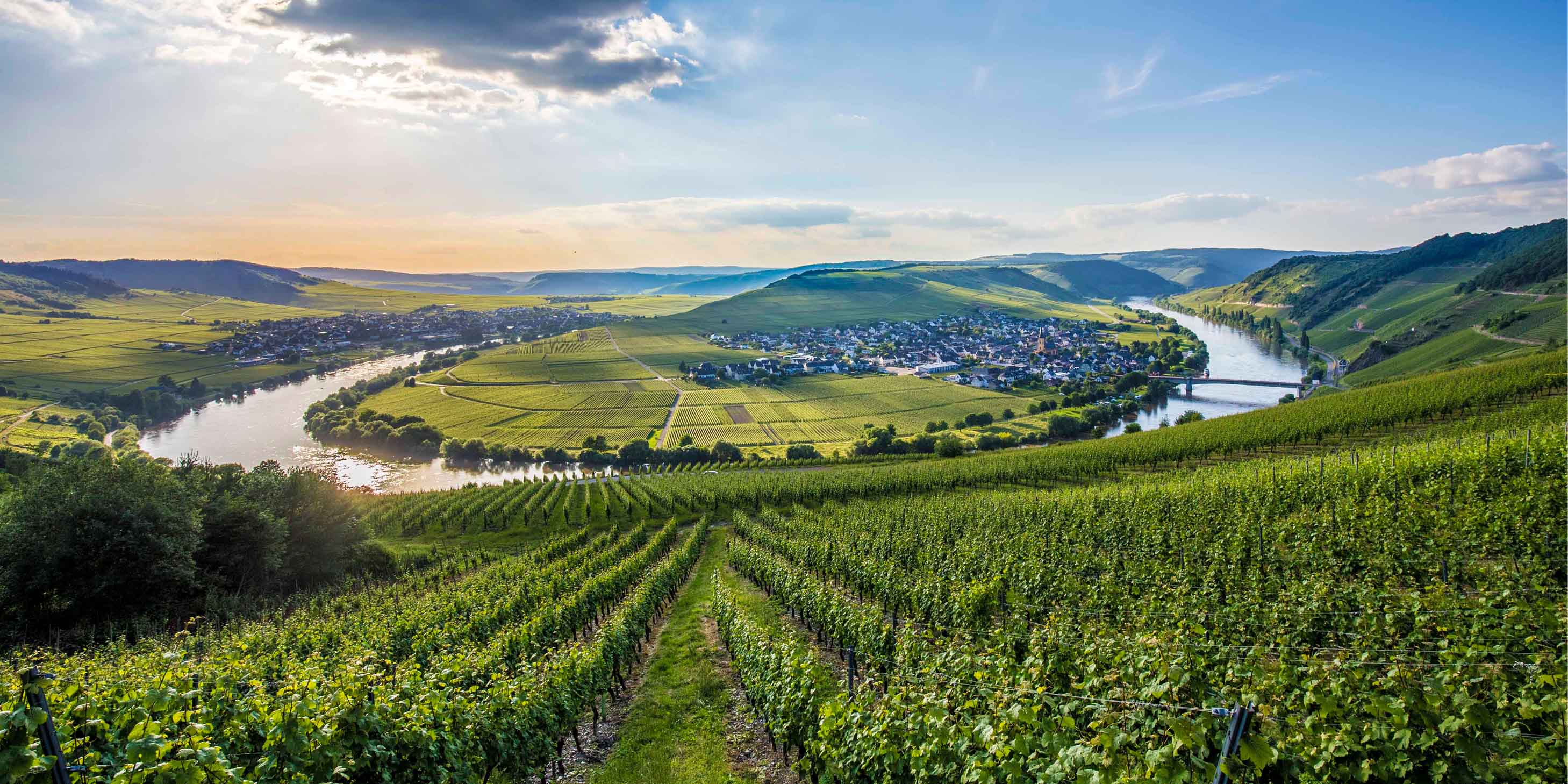 The Moselle River loop, with views of the town and vineyards at sunrise