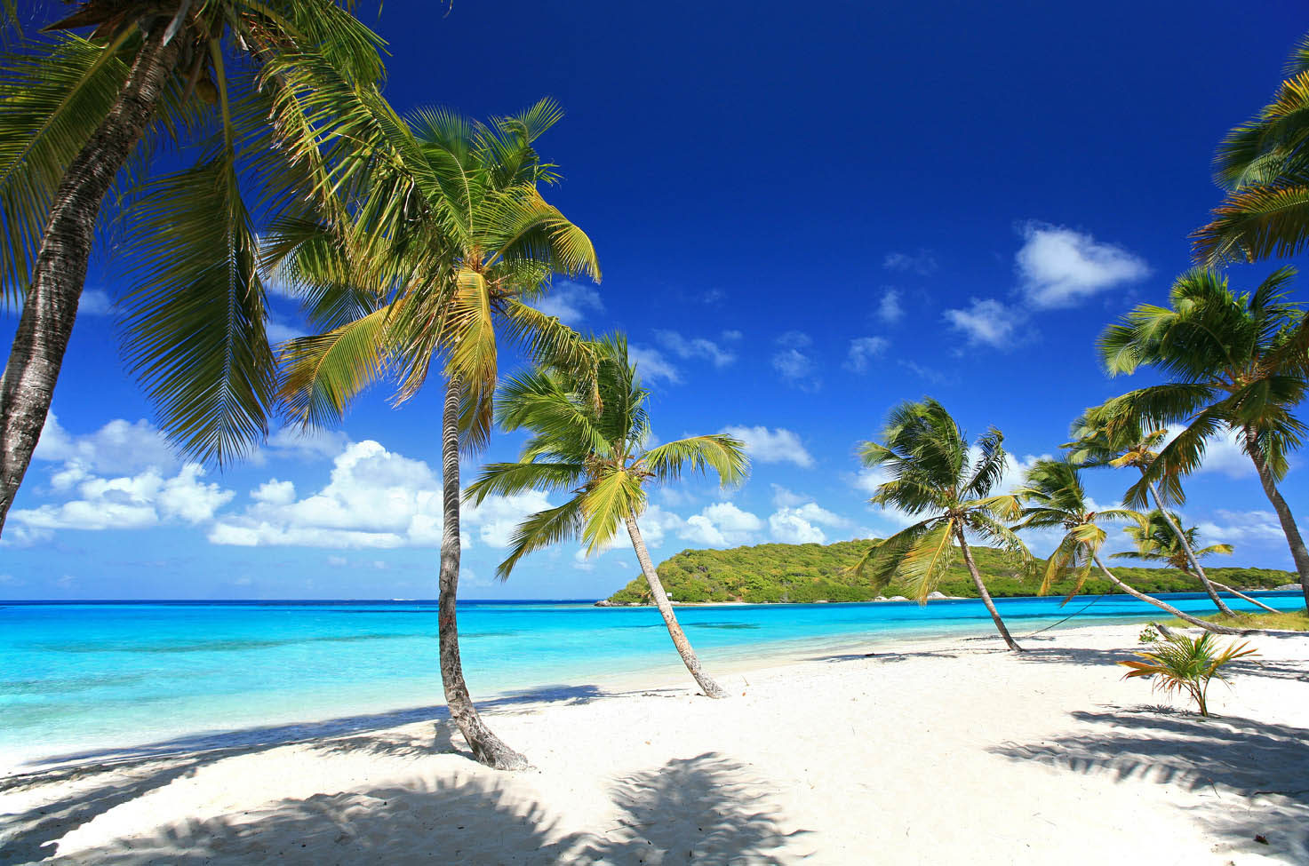 Palm trees on a white-sand beach under a deep blue sky near turquoise waters
